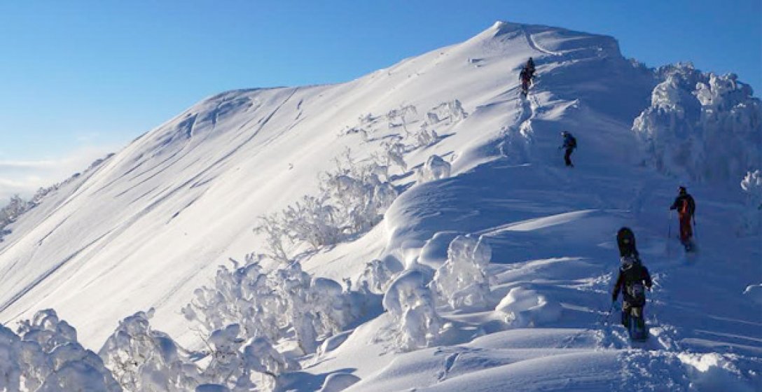 Advanced Backcountry Tours