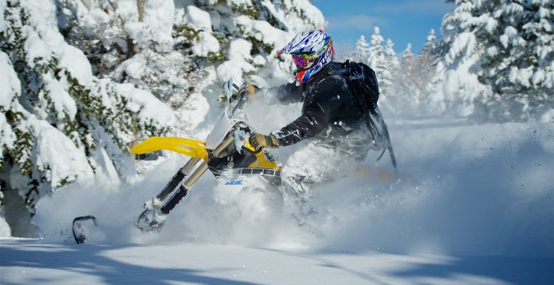 Niseko Snowbike Adventures Trees