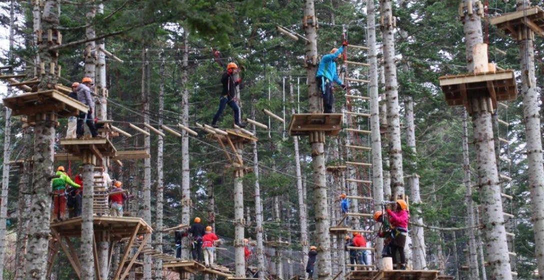 Nac Tree Climb