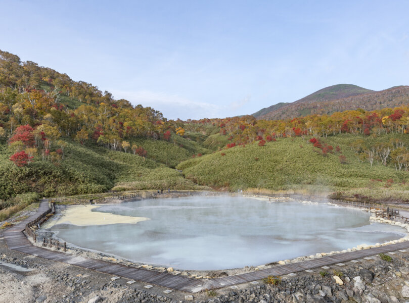 Aj Autumn 5