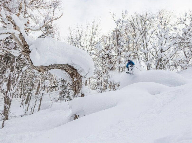 N Photo Hokkaido Camp 5