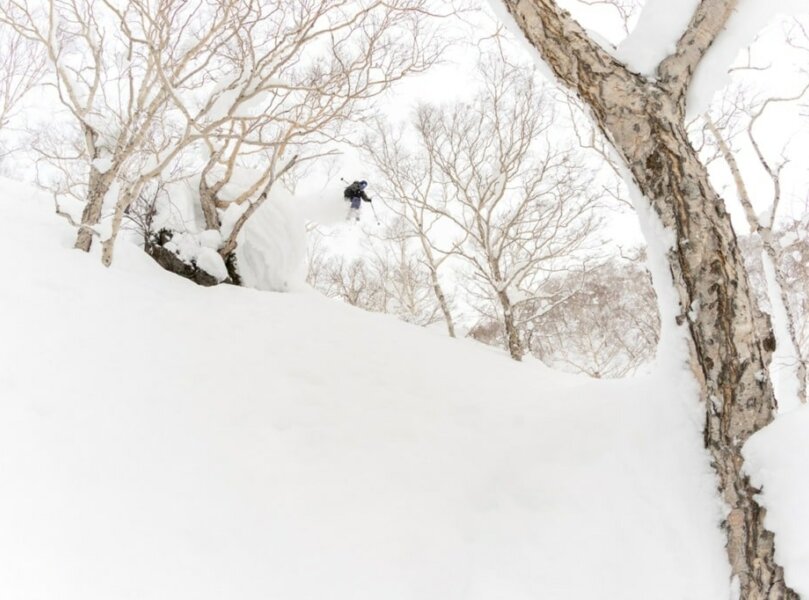 N Photo Niseko Camp 6