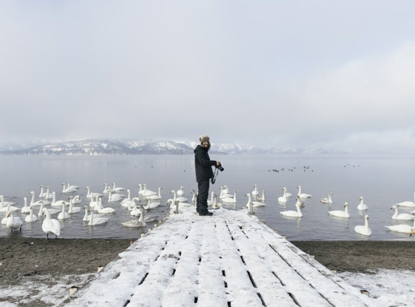 N Photo Wildlife 7