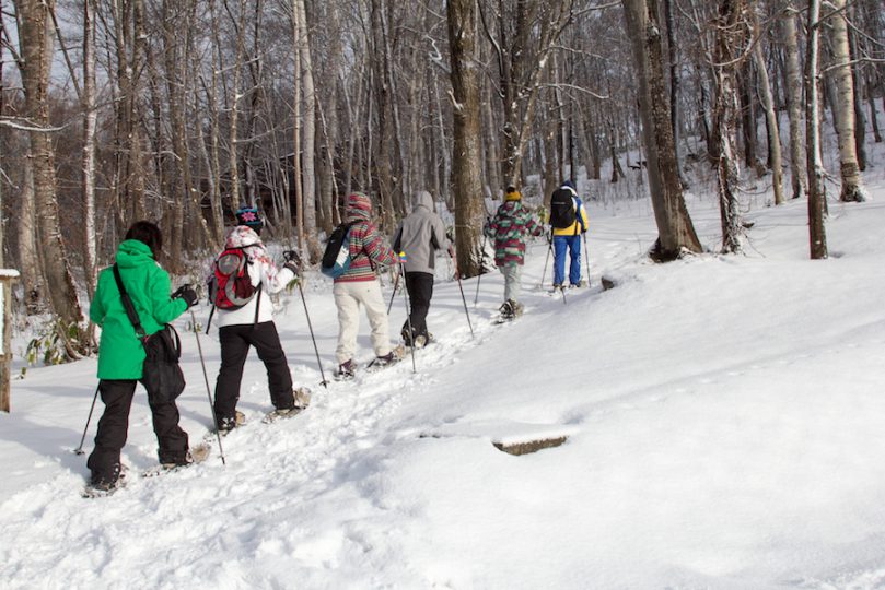 Snowshoeing 2
