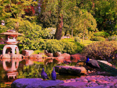 Kyoto Garden