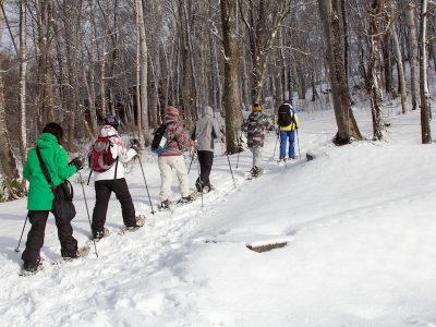 Snowshoeing 2